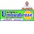 Eletrônica Umbaubense  (Logo Demonstrativo) - Imagem 1