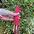 Vibrador ponto G com pulsação interna e estimulação clitoriana - Imagem 2
