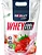 Whey 100% Pure Refil 900g – Absolut Nutrition - Imagem 1