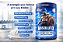 Absoluto Minotouro Pré-Workout Absolut Nutrition 420g - Imagem 7