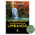 Livro - A Força Mágica da Mediunidade na Umbanda - Jamil Rachid - Imagem 1
