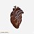 Coração Anatômico em Ferro GG - Imagem 1
