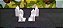 USADO Spirit Island com Insert e Moedas de Metal - Imagem 5