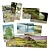 Forest Shuffle: Dartmoor (Jogo de Cartas) - Asmodee - Imagem 2