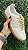 Tenis Samba Branco/Bege - Imagem 3