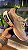 Tenis Zoom Bege Academia - Imagem 6