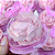 120un Embalagem para mini donuts - Mini Cake Box Redonda - Imagem 6