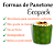 10un Forma para Panetone Ecopack 500gr - Ultrafest - Imagem 3