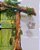 Porta de Fada Verde 🌿🍄🪺 - Imagem 5