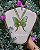 Colar Asas Mariposa Lunar 💚​ - Imagem 1