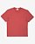 Camiseta Lacoste Coleção Nova - Imagem 1