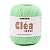 Fio CLEA DUPLO - 5743 (Neo Mint) - Imagem 1