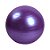 Bola Pilates Roxo 65cm Dasshaus Anti-Estouro 200kg - Imagem 1