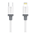 Cabo Hrebos Para Lightning Tipo C 1 Metro Turbo HS-130 (CBHS130) - Imagem 2