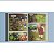 Coleção Pró-Games Almanaque em Quadrinhos Minecraft - Box com 4 Livros - Imagem 4
