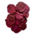 Pacote de Folha Moeda Seca. Cor: Vinho/roxo escuro - Imagem 1