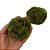 Kit com 2 bolas de vime com musgo P - Imagem 1