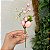 Pick ovinhos - Imagem 3