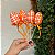 Pick com 4 ovos de tecido laranja - Imagem 2
