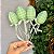 Pick com 4 ovos de tecido verde água - Imagem 2