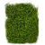 Musgo barba de velho verde - Imagem 1