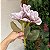 Ramalhete magnólia rosé - Imagem 3