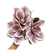 Ramalhete magnólia rosé - Imagem 1