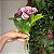 Ramalhete com 3 hastes de flor - Imagem 3