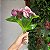 Ramalhete com 3 hastes de flor - Imagem 4