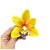 Porta-guardanapo orquídea amarela - Imagem 1