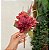 Buquê floral mod. 1 - Imagem 2