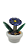 Vaso com Flor de Pedra - Imagem 8