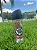 Garrafa De Agua Corinthians 270ml Squeeze Infantil - Oficial - Imagem 3