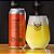 Frohenfeld/Hespanha Frisch Gose 473ml - Imagem 1