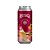 Hespanha Restinga Sour Ale 473ml - Imagem 1