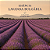 ESSENCIA LAVANDA BULGARIA - Imagem 1
