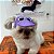 Boné para Cachorro Chapéu Pet Cães com Óculos - Imagem 6