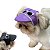 Boné para Cachorro Chapéu Pet Cães com Óculos - Imagem 3