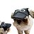 Boné para Cachorro Chapéu Pet Cães com Óculos - Imagem 4