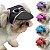 Boné para Cachorro Chapéu Pet Cães com Óculos - Imagem 1