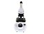 MICROSCÓPIO BIOLÓGICO MONOCULAR C/ AUMENTO DE 40X A 640X LED 1W SDMB-10- SDORF - Imagem 2