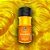 Máscara Pigmentante Kamaleão Color Canário Amarelo Tonalizante 150ml - Imagem 2