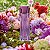 Perfume Linda Irresistível Feminino Colônia o Boticário 100ml - Imagem 2
