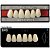 Dente New Form Anterior SH3 Superior - Imodonto - Imagem 1