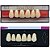 Dente Dent Clean Anterior A23 Superior - Imodonto - Imagem 3