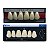 Dente Dent Clean Anterior A25 Superior - Imodonto - Imagem 1