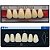 Dente Dent Clean Anterior A25 Superior - Imodonto - Imagem 3