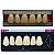 Dente Dent Clean Anterior A26 Superior - Imodonto - Imagem 5