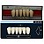 Dente Dent Clean Anterior 3M Inferior - Imodonto - Imagem 3