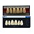 Dente Dent Clean Anterior 2N Superior - Imodonto - Imagem 4